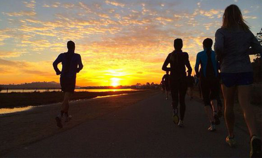 江律计步器问答案例